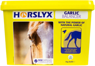 derby horslyx leckmasse garlic